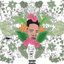 Intro cover