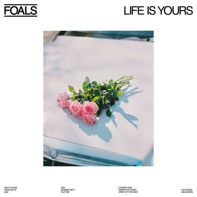 Foals profile