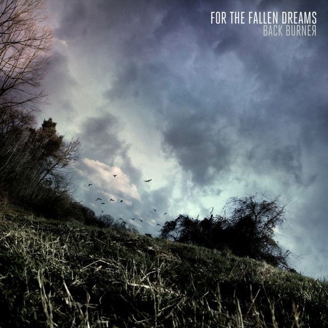 For the Fallen Dreams profile