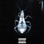 GutsInTheShell cover