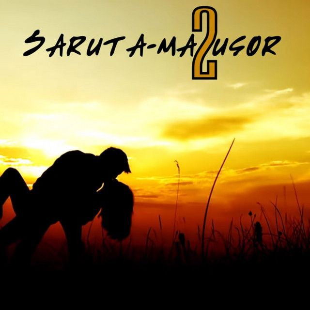 Saruta-ma usor 2