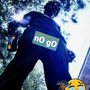 nO gO