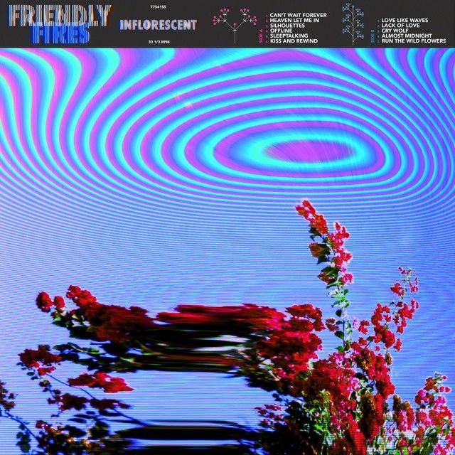 Friendly Fires profile