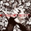 Intro cover