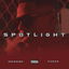 Spotlight cover