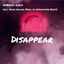 Disappear cover