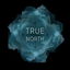 True North cover