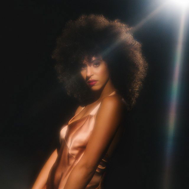 Gavin Turek profile