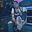 Zoo Freestyle cover