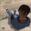 Capstone cover