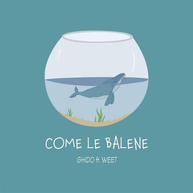 Come le balene