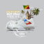 Freestyle AMBIENCE #2 cover