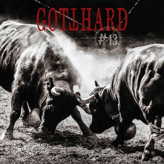 Gotthard profile