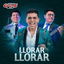 Deudas y Dolor cover