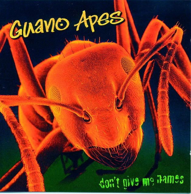 Guano Apes profile