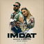 Imdat cover