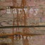 Silver cover