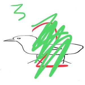 Swamp Ass