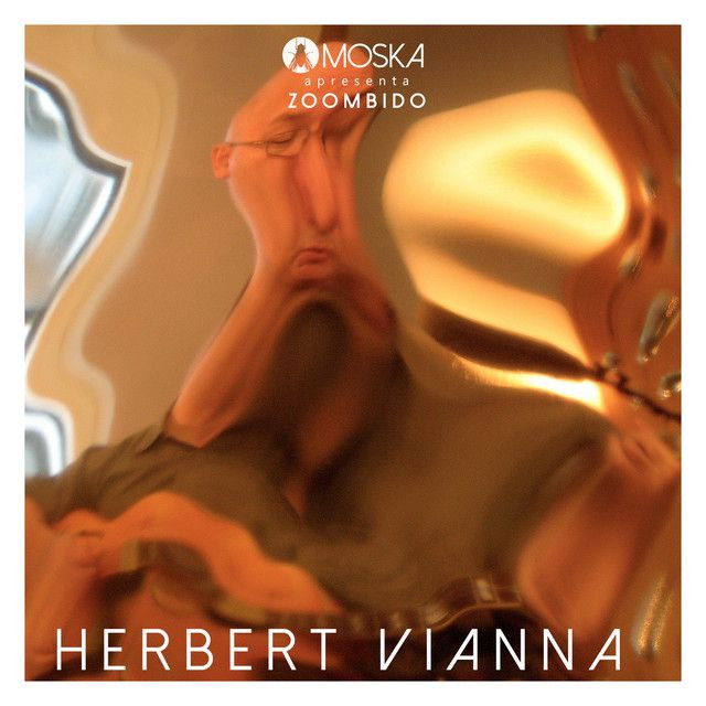 Herbert Vianna profile