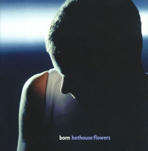 Hothouse Flowers profile