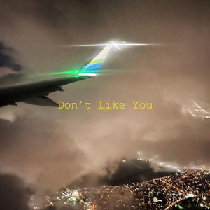 Don't Like You (with Chris and bern)