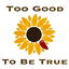 Too Good To Be True cover