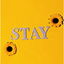 stay cover