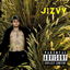 Jizvy cover