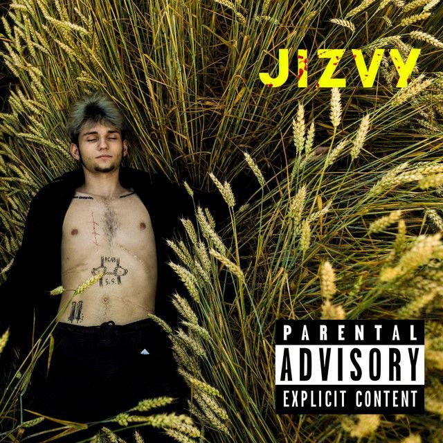 Jizvy