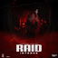 Raid cover