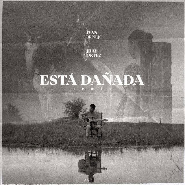 Está Dañada - Remix