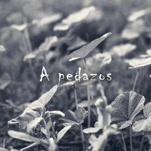 A pedazos