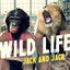 Wild Life cover