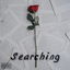 Searching cover