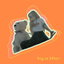 hug a bear cover