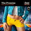 The Promise cover