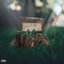 Letter 2 Gigi cover