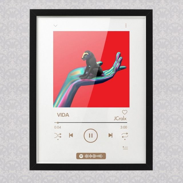 Vida