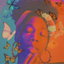 Nights in the H cover