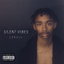 Silent Vibes cover