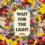 Wait for the Light cover