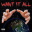 Want It All cover