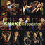 Shake the Foundation cover