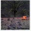 Stars Fell On Alabama cover