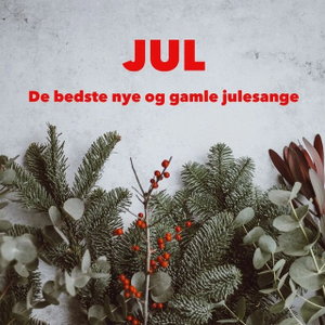 På Vej Hjem