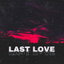 Last Love cover