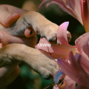 Divine