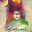 Snowflake cover