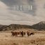 There Is Freedom cover