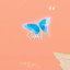 Ripples cover